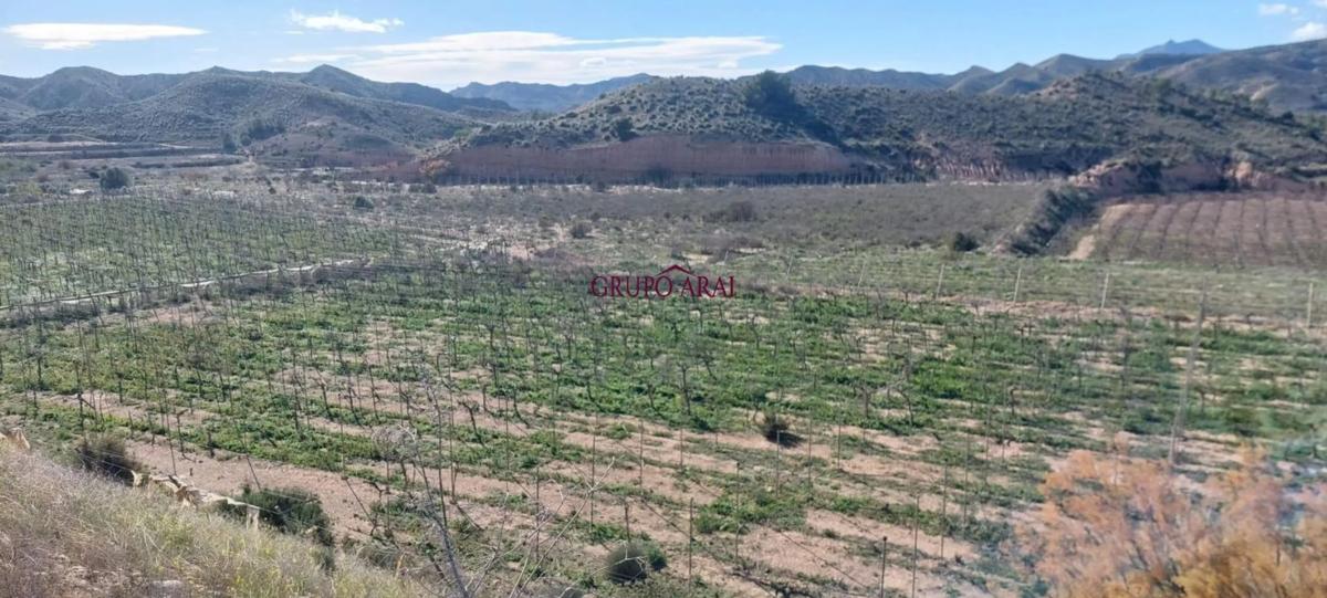 Terreno en venta en Monforte del Cid, Alicante photo 1