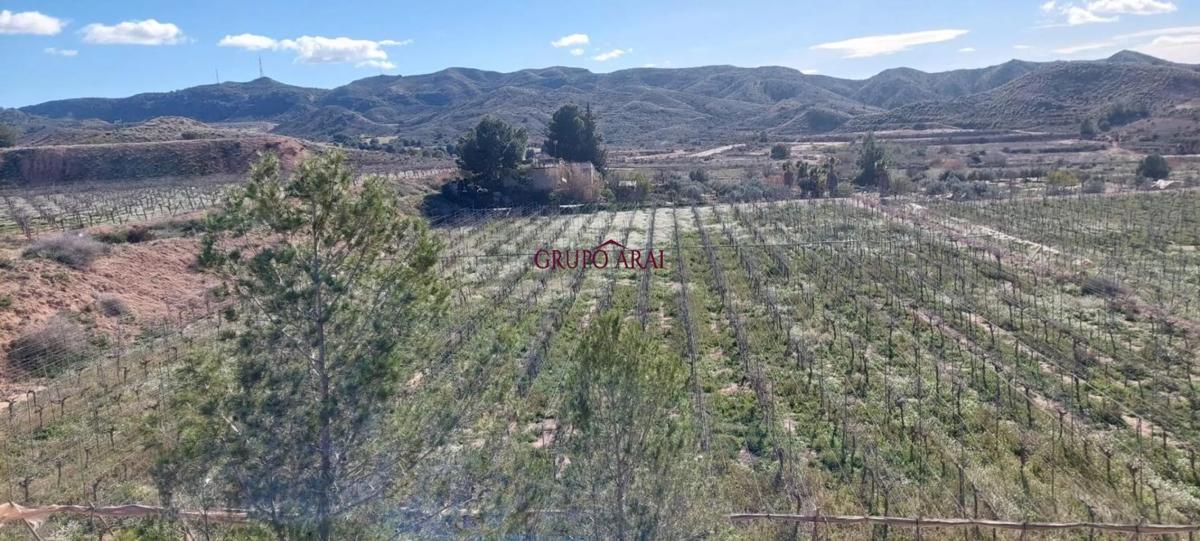 Terreno en venta en Monforte del Cid, Alicante photo 3