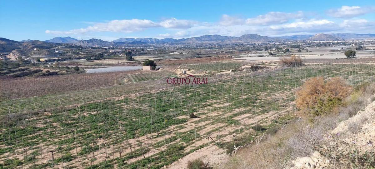 Terreno en venta en Monforte del Cid, Alicante photo 4