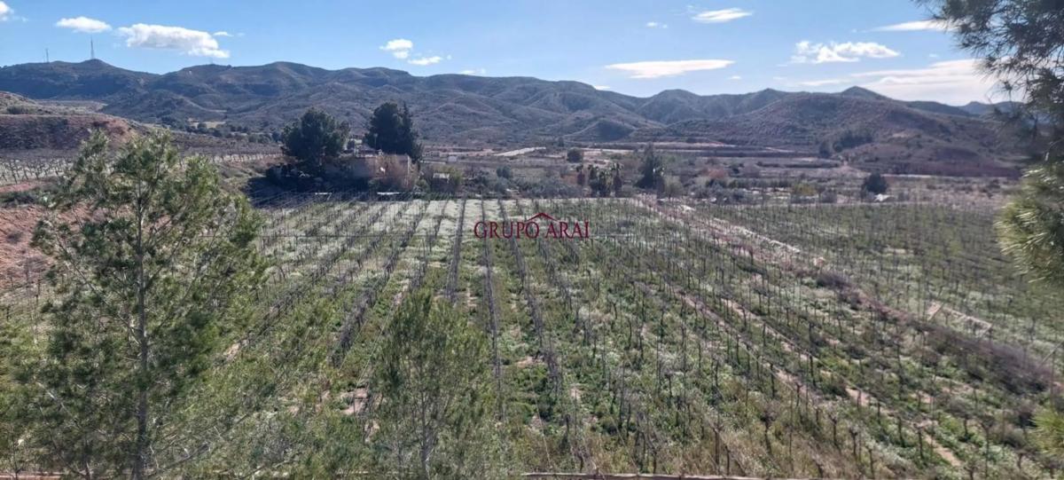 Terreno en venta en Monforte del Cid, Alicante photo 5