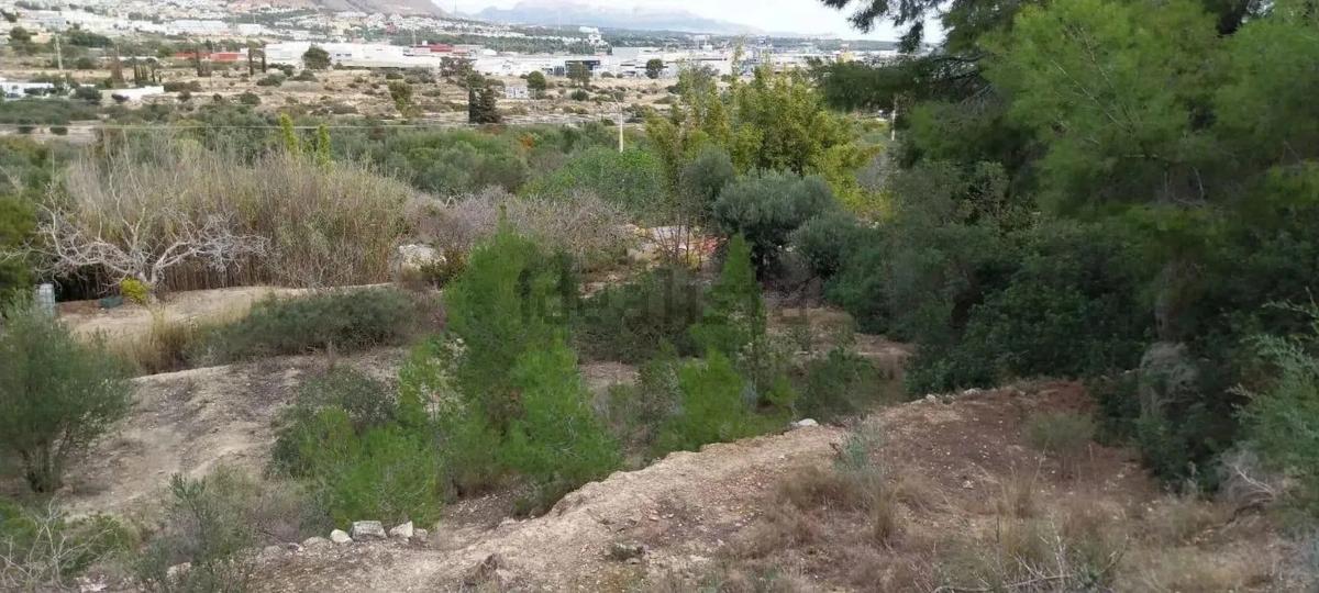 Terreno en venta en La Villajoyosa / Vila Joiosa, Alicante photo 2