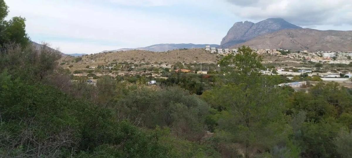 Terreno en venta en La Villajoyosa / Vila Joiosa, Alicante photo 3