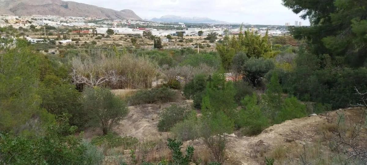 Terreno en venta en La Villajoyosa / Vila Joiosa, Alicante photo 5