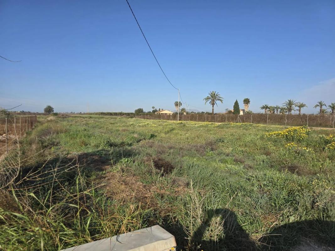 Terreno en venta en Elche / Elx, Alicante photo 1