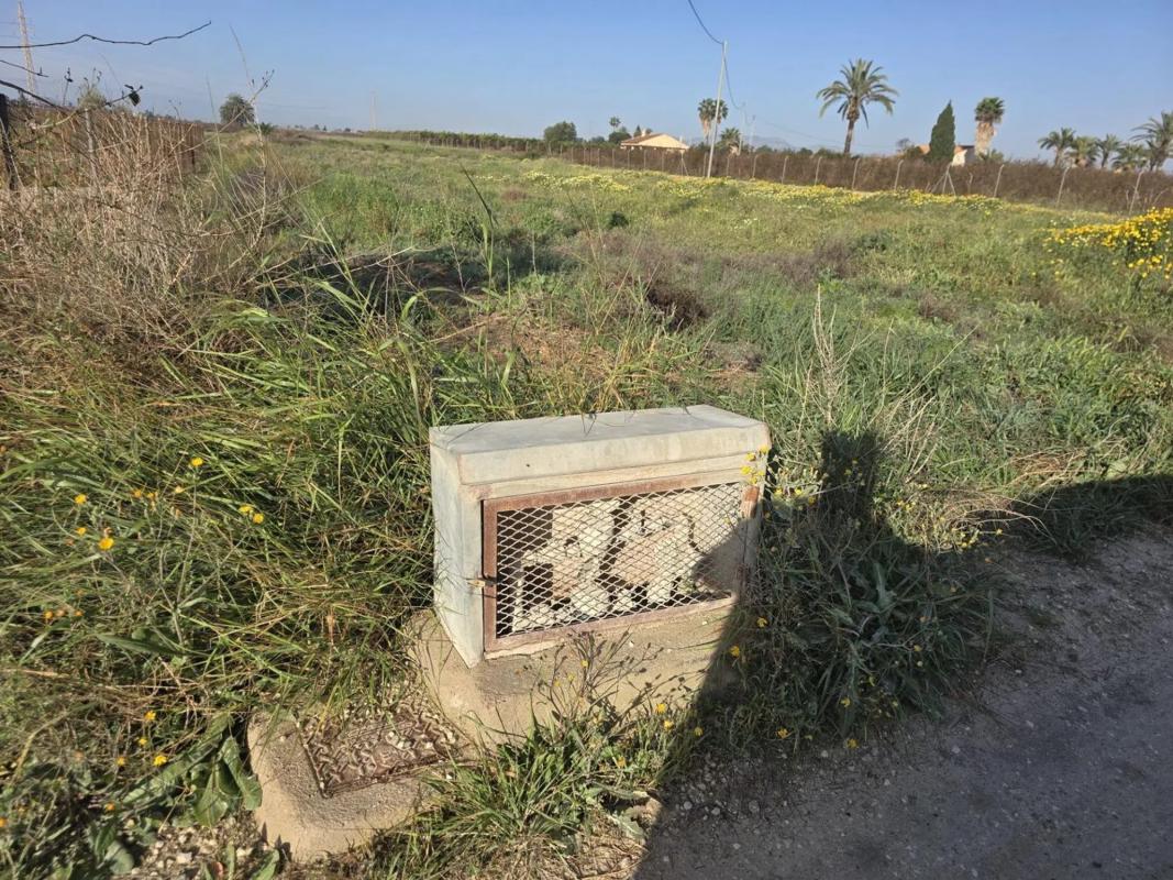 Terreno en venta en Elche / Elx, Alicante photo 2
