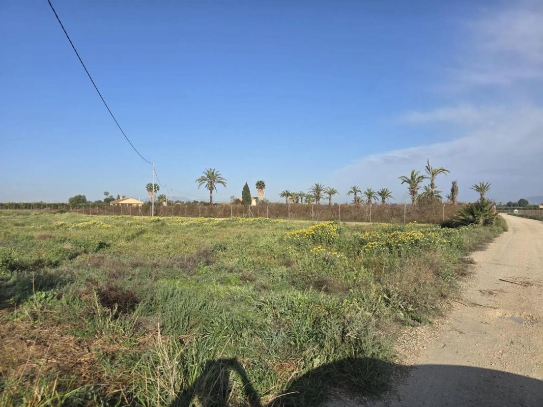 Terreno en venta en Elche / Elx, Alicante photo 3