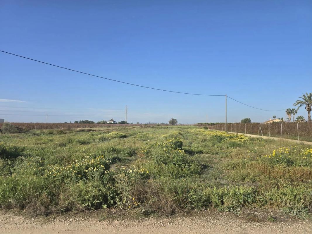 Terreno en venta en Elche / Elx, Alicante photo 4