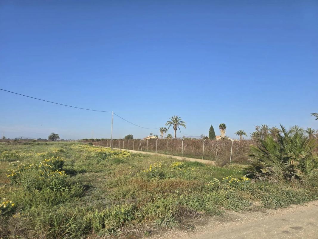 Terreno en venta en Elche / Elx, Alicante photo 5