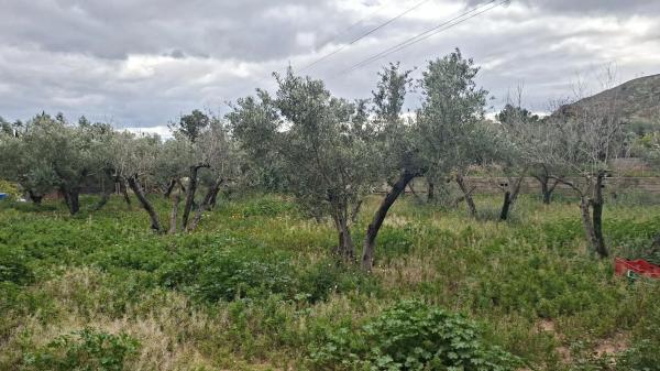 Terreno en calle Cabo de Palos photo 4