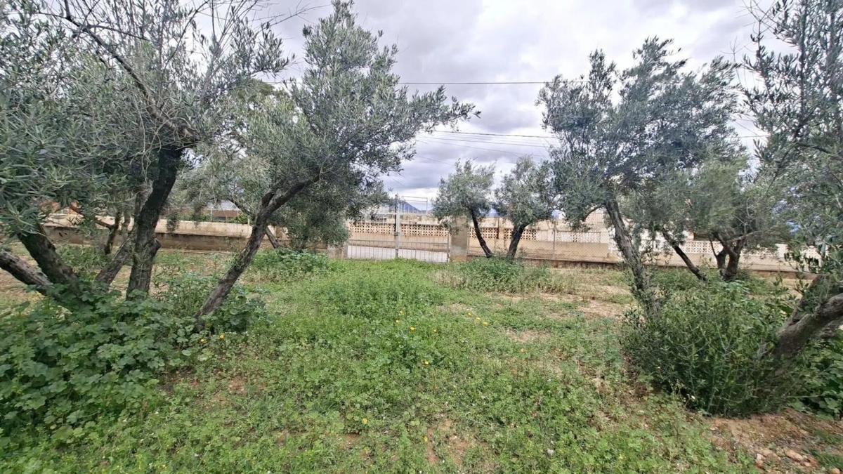 Działka na sprzedaż w Cañada del Fenollar, Alicante photo 5