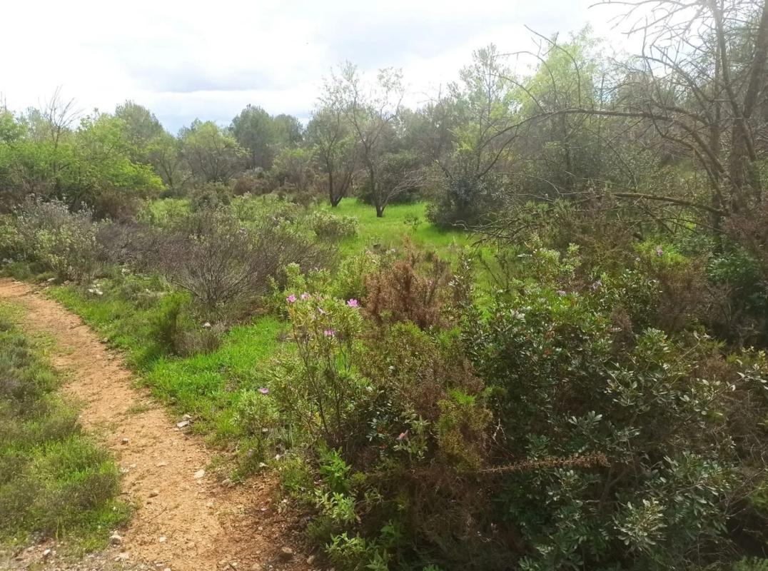 Działka na sprzedaż w Val de Gallinera, Alicante photo 4