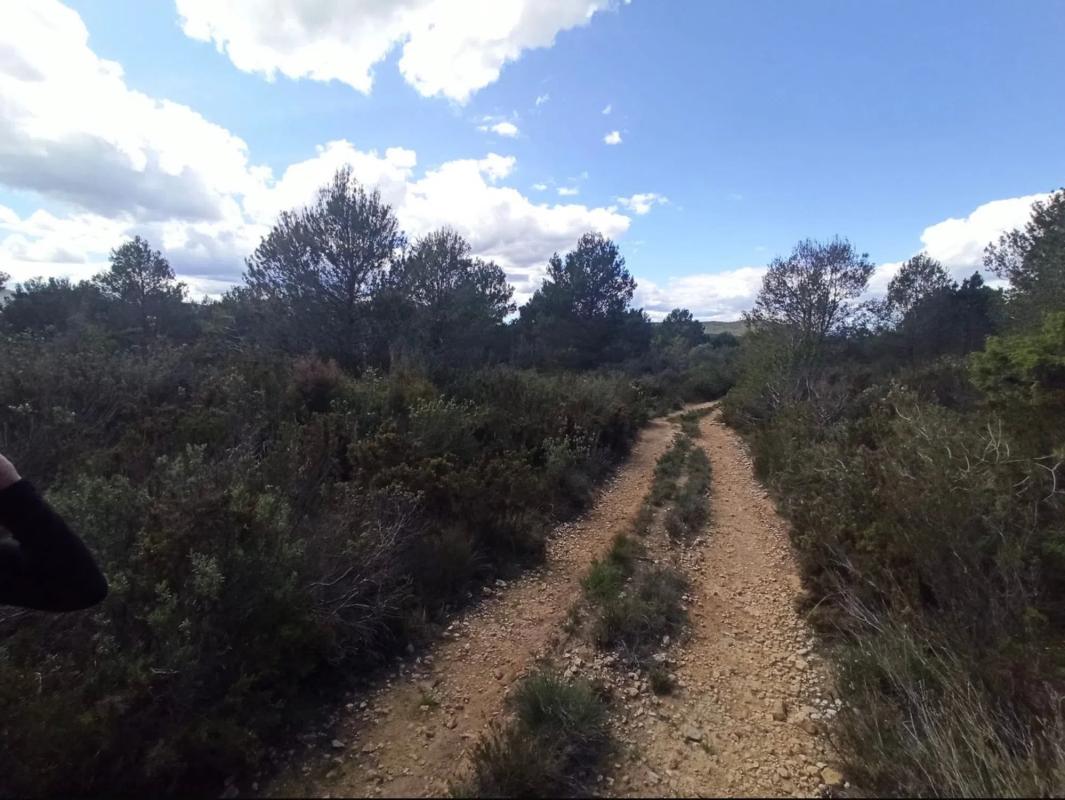 Działka na sprzedaż w Val de Gallinera, Alicante photo 5