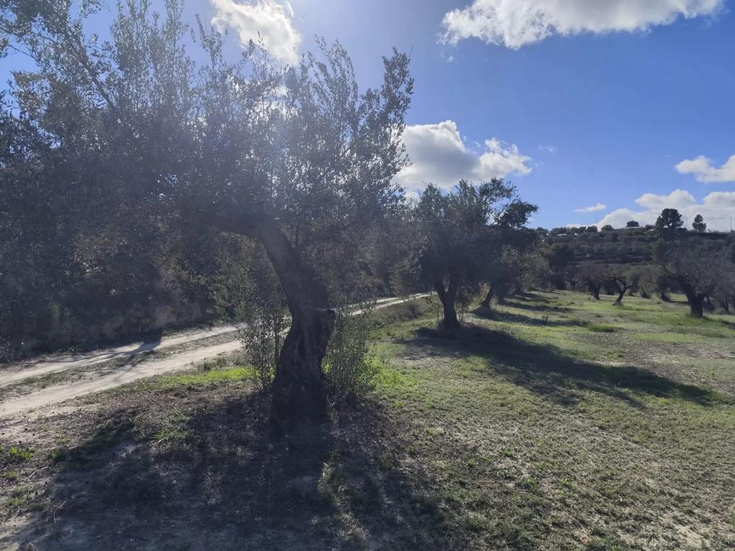 Land for sale in Cocentaina, Alicante photo 2