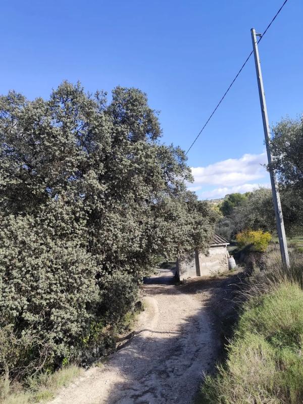 Land for sale in Cocentaina, Alicante photo 4
