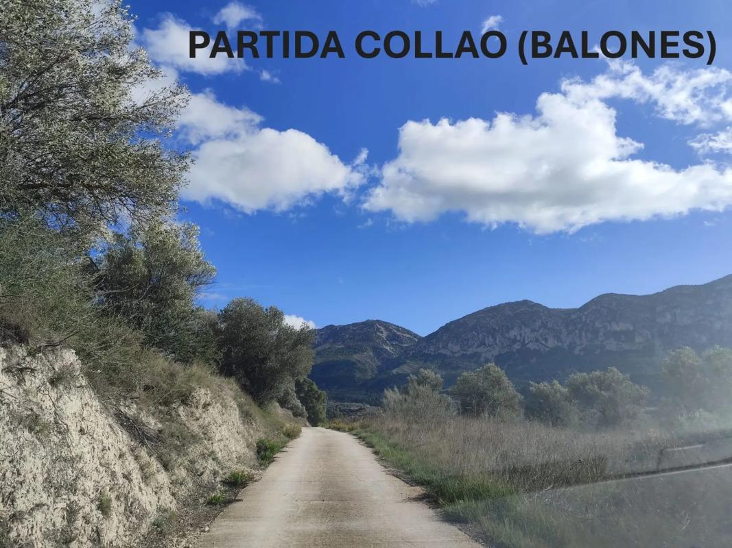 Land for sale in Cocentaina, Alicante photo 5