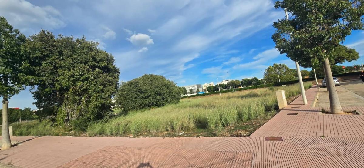 Działka na sprzedaż w El Verger, Alicante photo 2