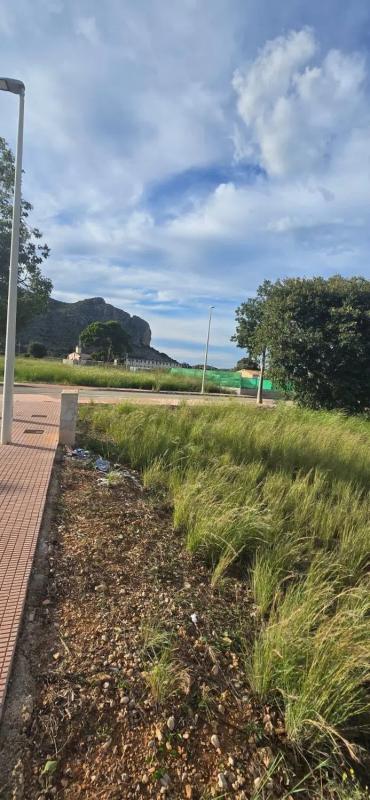 Działka na sprzedaż w El Verger, Alicante photo 3