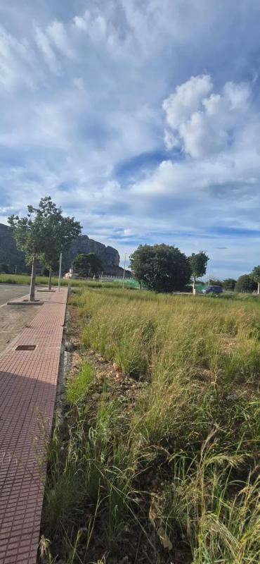 Działka na sprzedaż w El Verger, Alicante photo 4