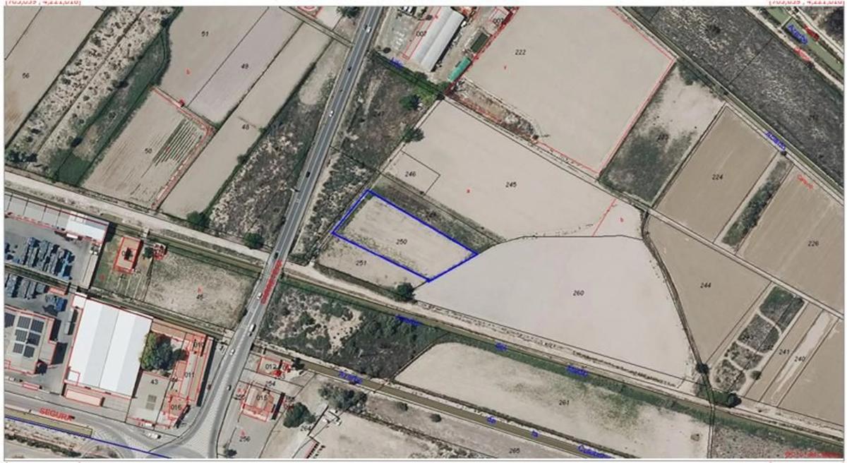 Land for sale in San Fulgencio, Alicante photo 5