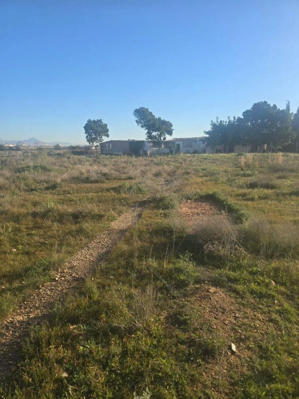Terreno en venta en Elche / Elx, Alicante photo 1