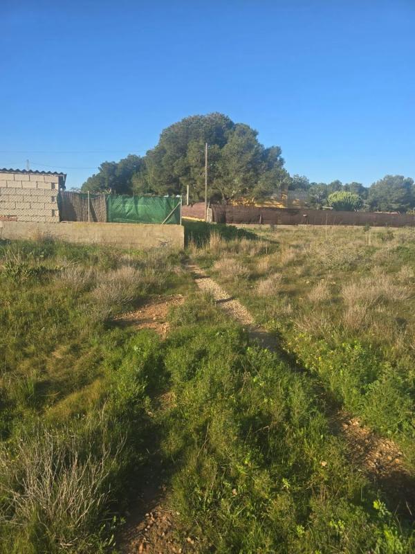 Terreno en venta en Elche / Elx, Alicante photo 2