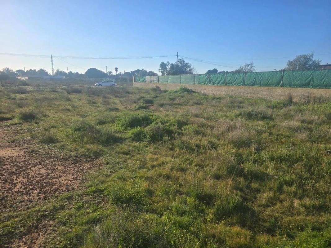 Terreno en venta en Elche / Elx, Alicante photo 3
