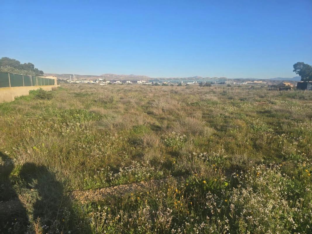 Terreno en venta en Elche / Elx, Alicante photo 4