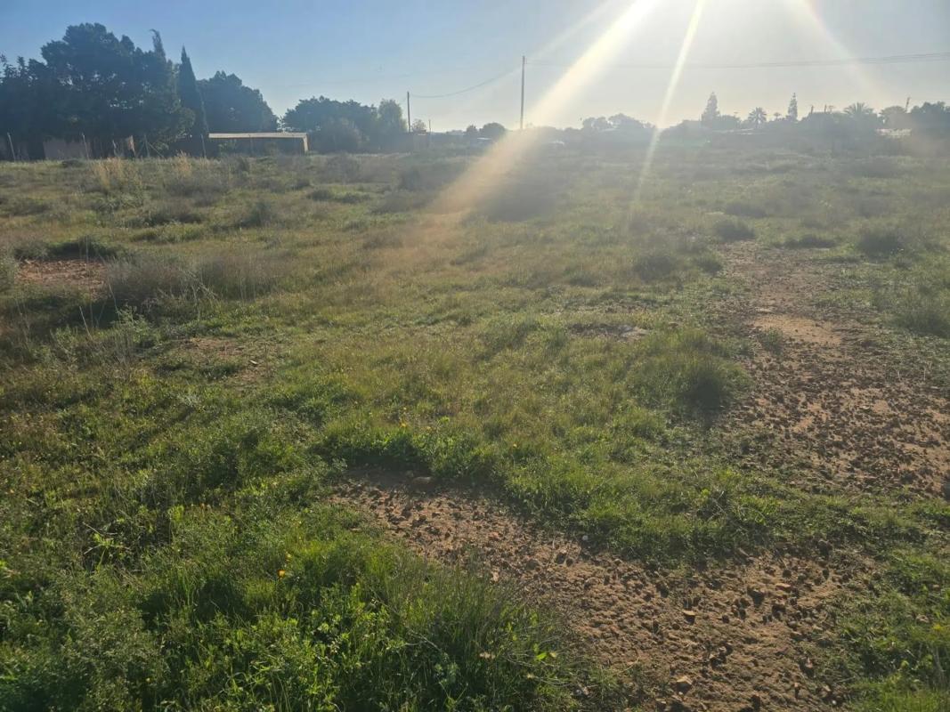 Terreno en venta en Elche / Elx, Alicante photo 5