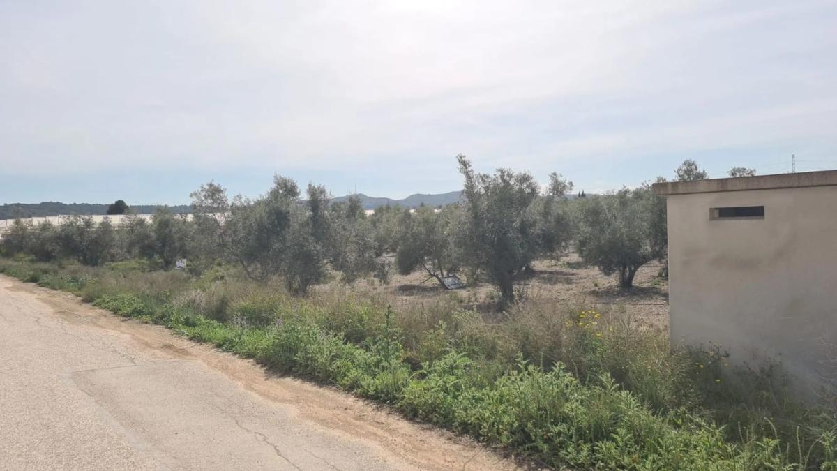 Terreno en venta en Monforte del Cid, Alicante photo 5