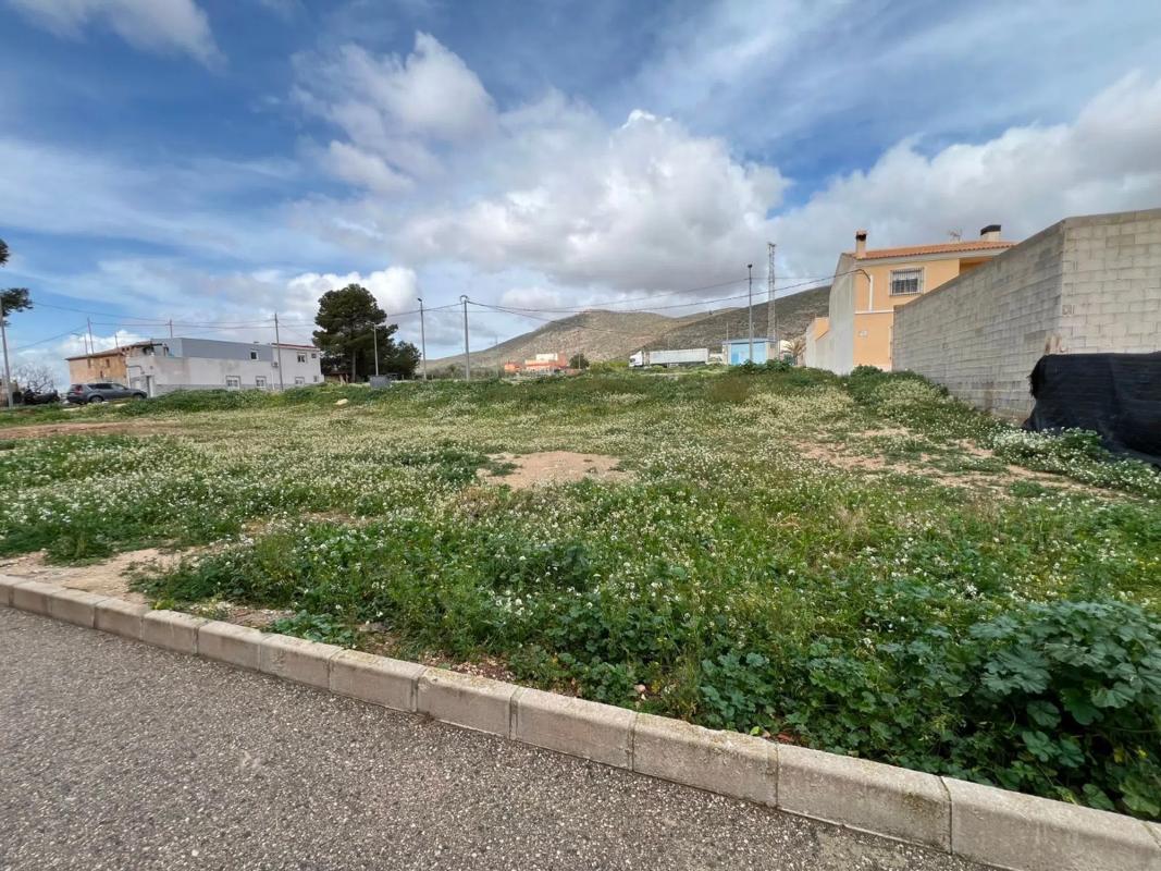 Land for sale in Hondón de los Frailes, Alicante photo 1