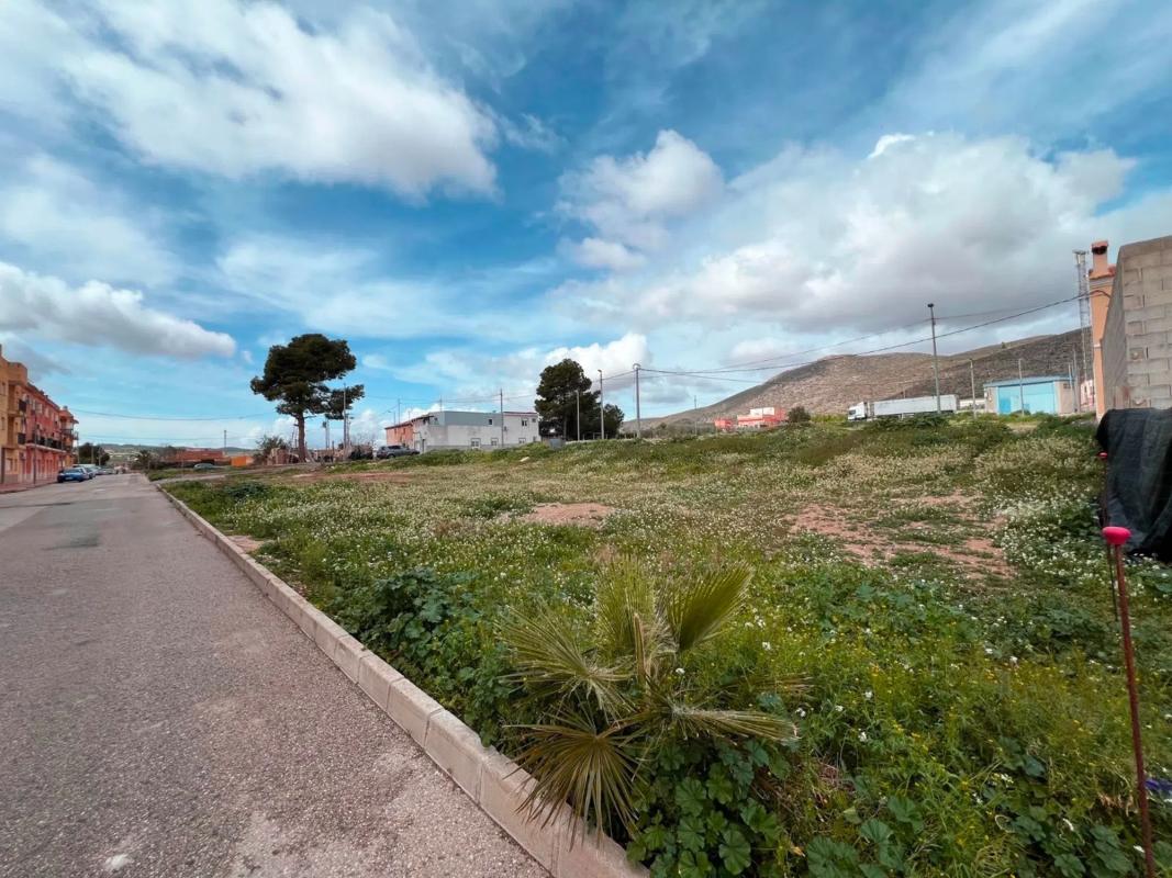 Land for sale in Hondón de los Frailes, Alicante photo 2