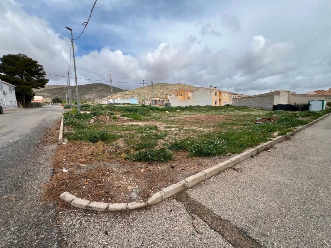 Land for sale in Hondón de los Frailes, Alicante photo 3