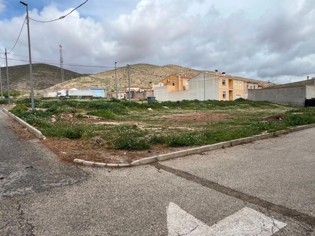 Land for sale in Hondón de los Frailes, Alicante photo 4