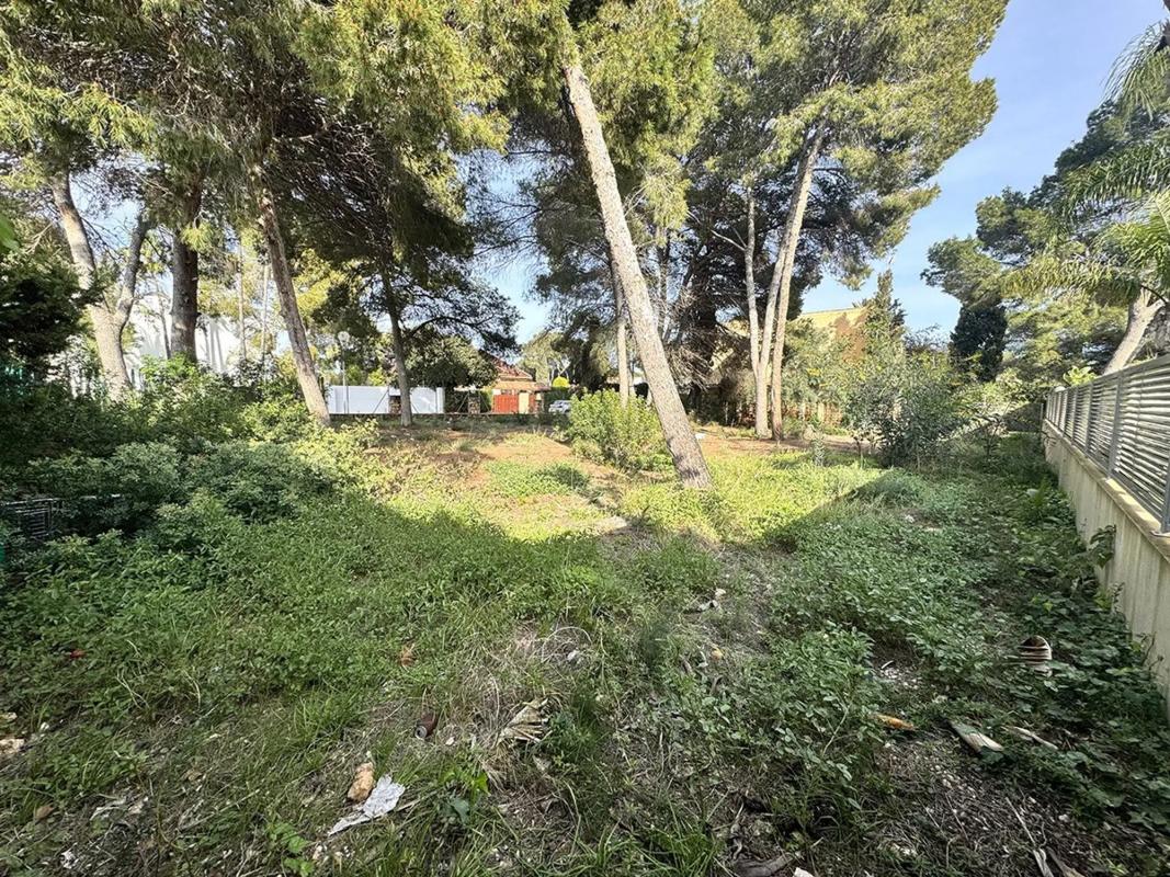 Terreno en venta en Orihuela, Alicante photo 1