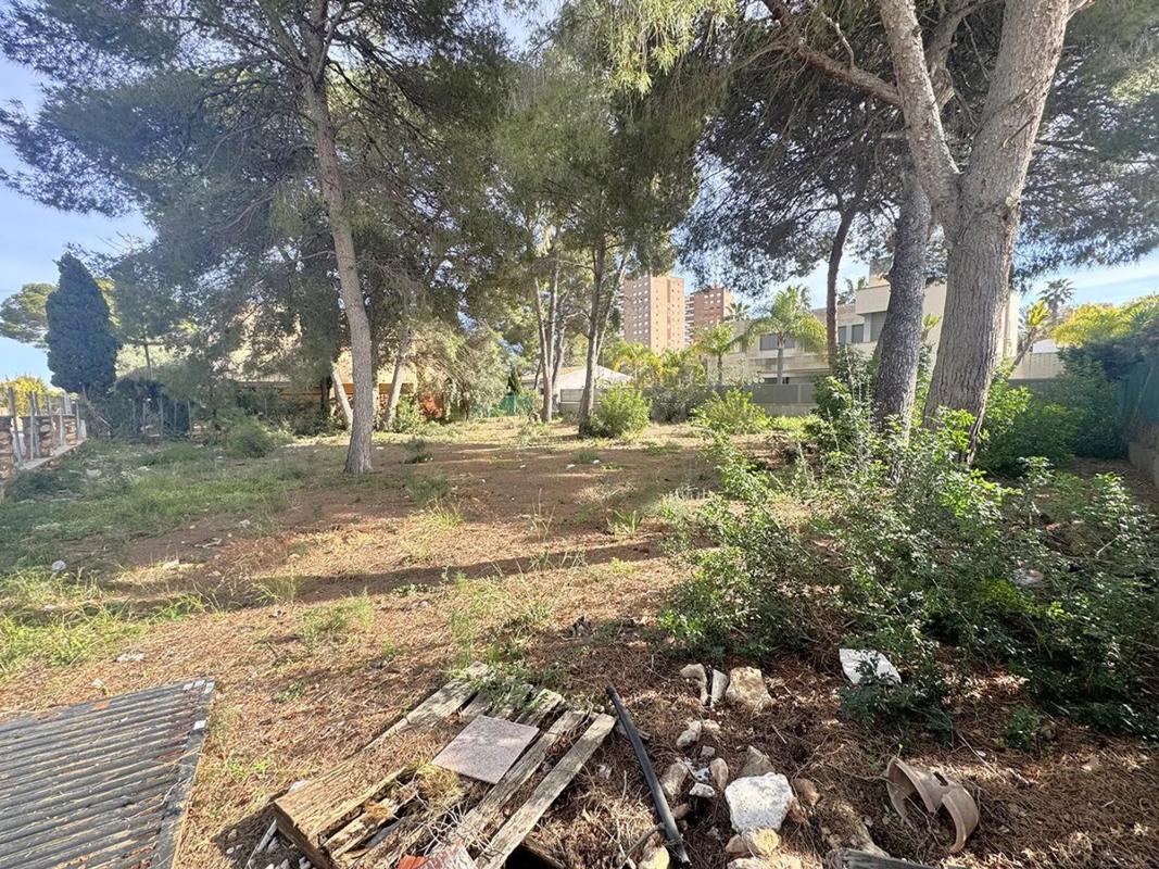 Terreno en venta en Orihuela, Alicante photo 3