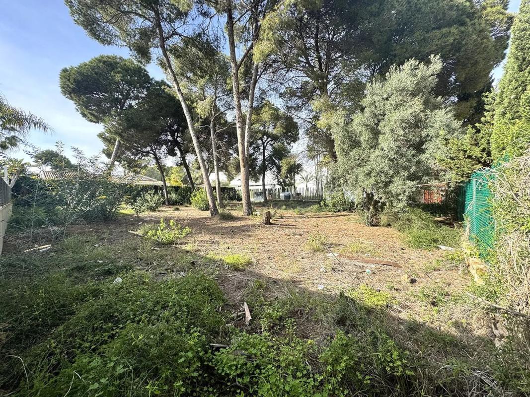 Terreno en venta en Orihuela, Alicante photo 4