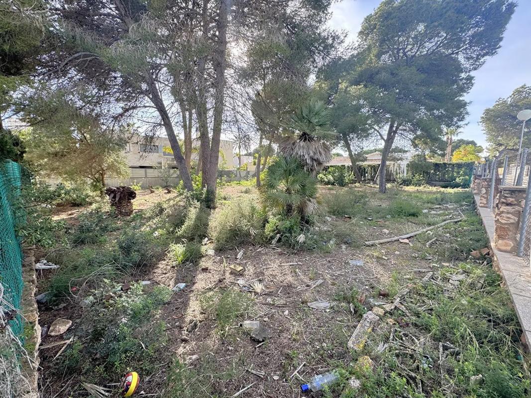 Terreno en venta en Orihuela, Alicante photo 5
