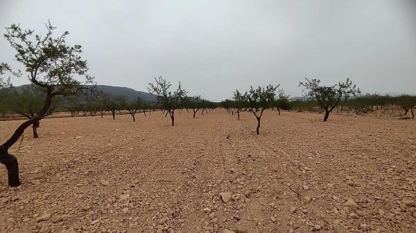 Terreno en Cañada Lauteria, 33 thumbnail 1