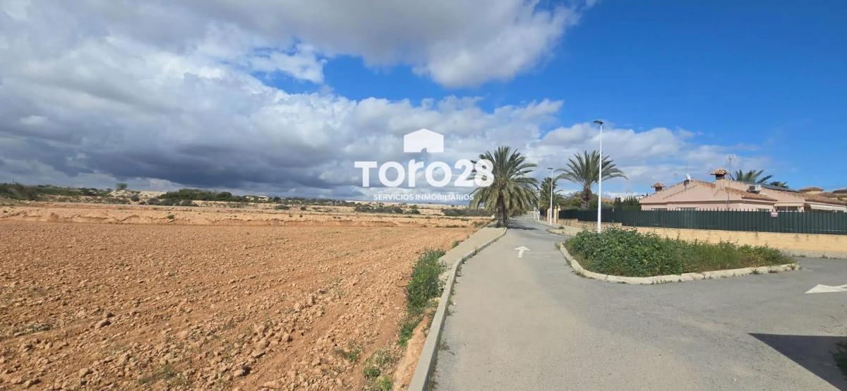 Terreno en venta en Elche / Elx, Alicante photo 1