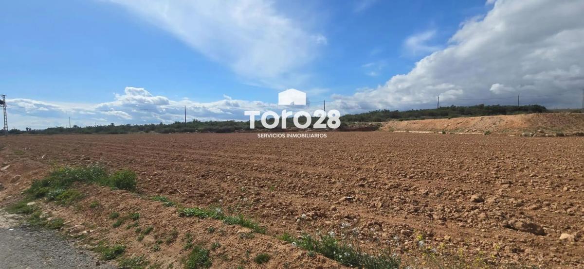 Terreno en venta en Elche / Elx, Alicante photo 2