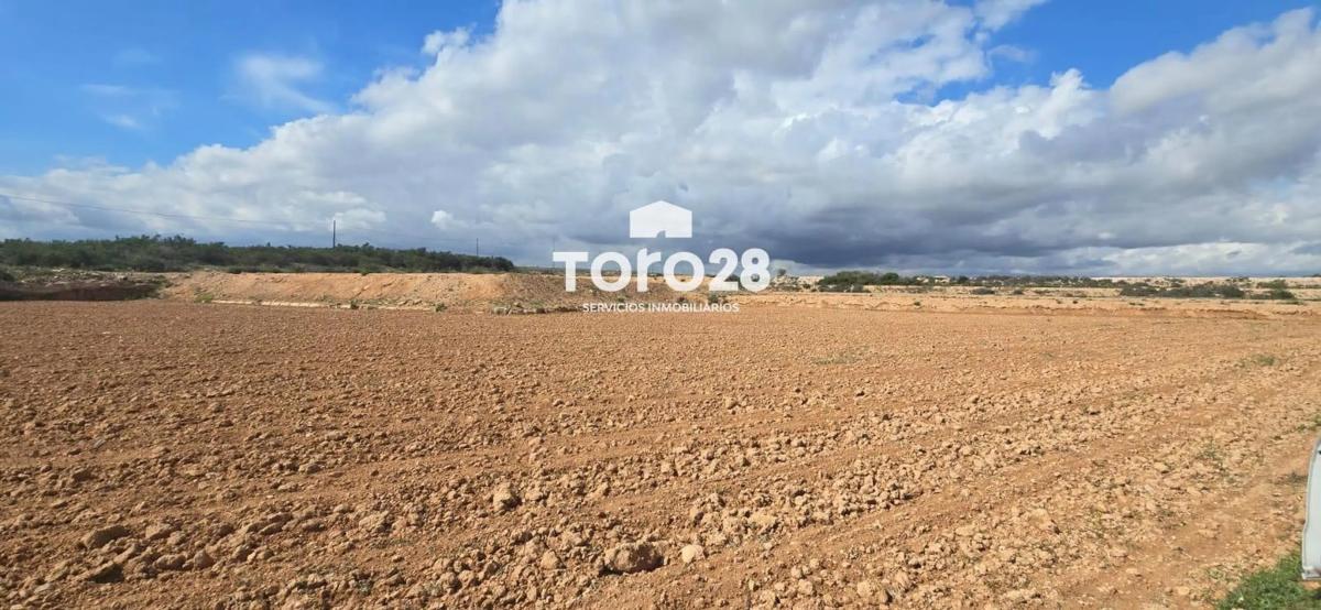 Terreno en venta en Elche / Elx, Alicante photo 3