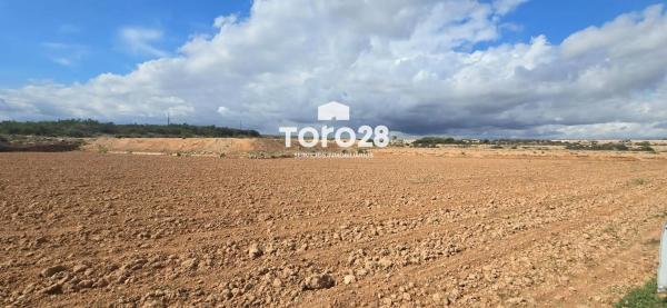 Terreno en Barrio Centro thumbnail 2