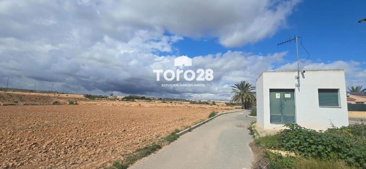 Terreno en venta en Elche / Elx, Alicante photo 4