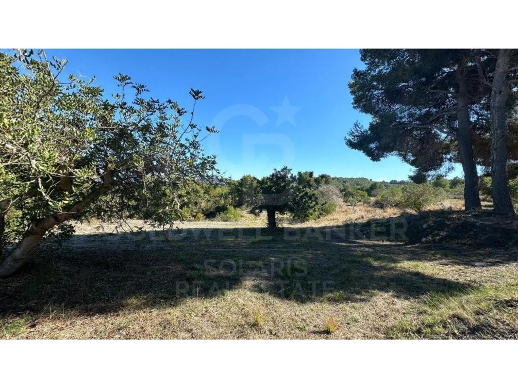 Terreno en venta en Jávea/Xàbia, Alicante photo 5