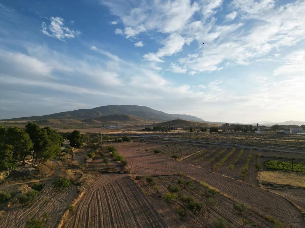 Terreno en venta en Pinoso, Alicante photo 2