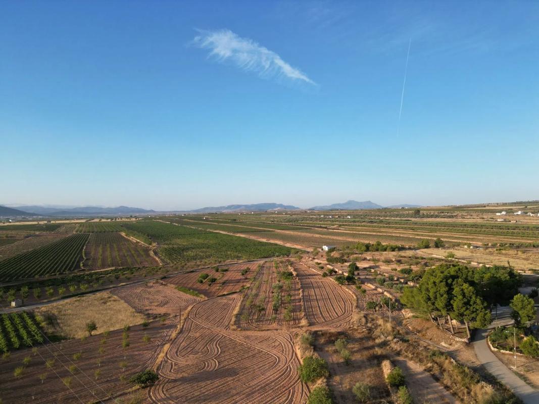 Terreno en venta en Pinoso, Alicante photo 4