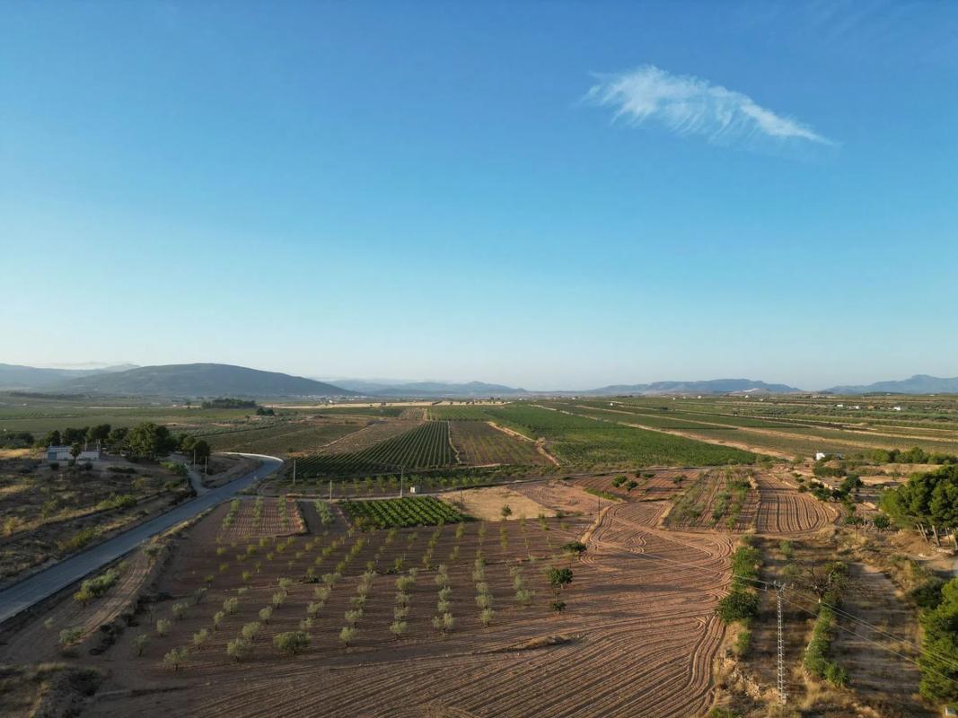 Terreno en venta en Pinoso, Alicante photo 5