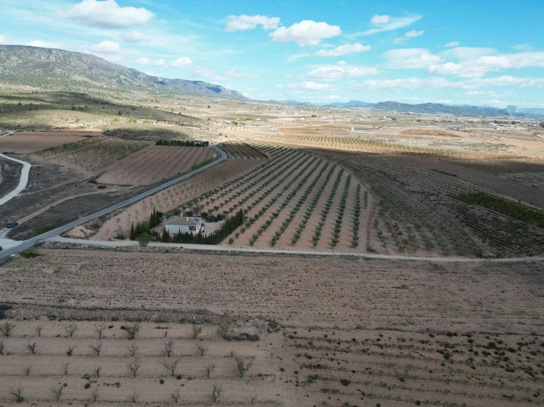 Terreno en venta en Pinoso, Alicante photo 2