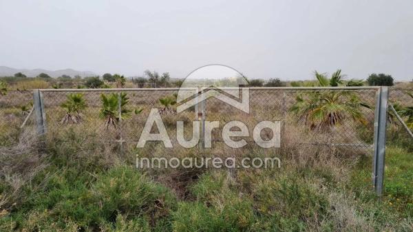 Terreno en Cañada del Fenollar photo 1