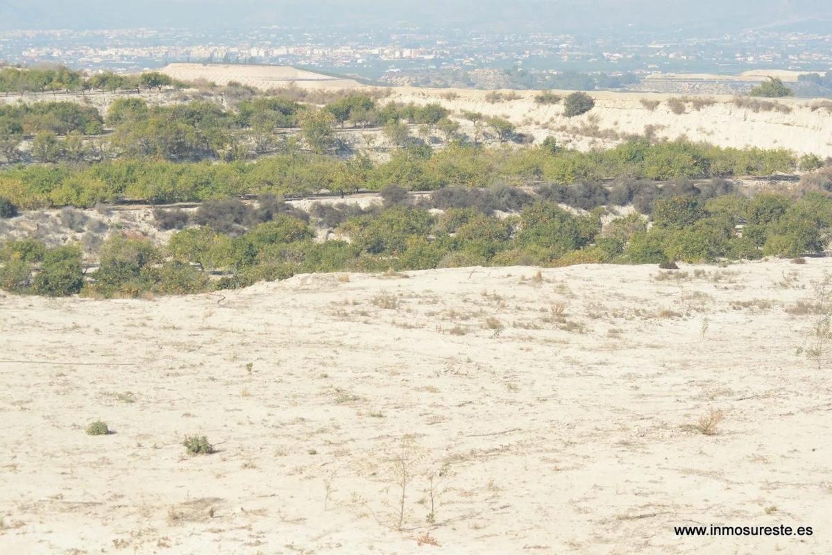 Terreno en venta en Orihuela, Alicante photo 5